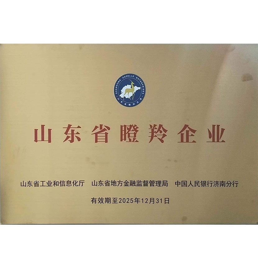 山東省瞪羚企業(yè)